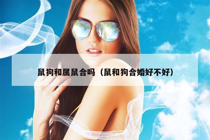 鼠狗和属鼠合吗(鼠和狗合婚好不好)