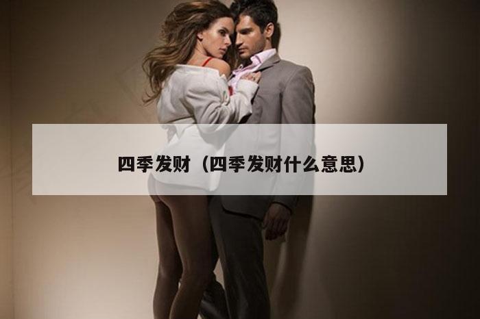 四季发财(四季发财什么意思)