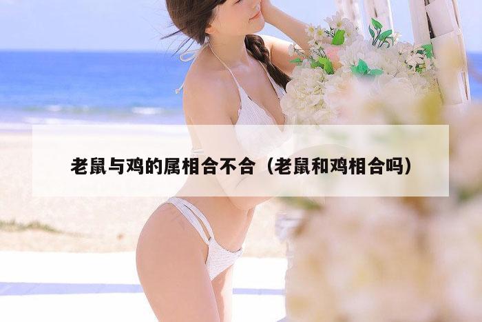 老鼠与鸡的属相合不合（老鼠和鸡相合吗）
