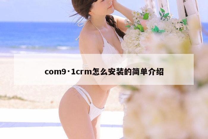 com9·1crm怎么安装的简单介绍